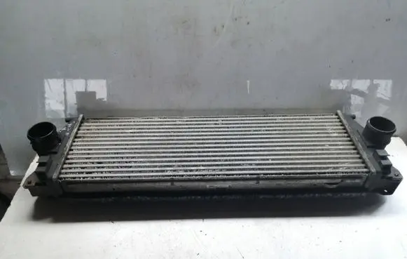 Mercedes-Benz Sprinter W906 Intercooler radiator A9065010101