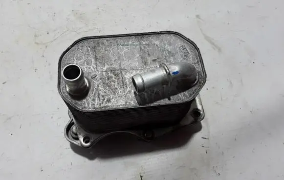 Renault Alaskan Oil filter mounting bracket 214501318R