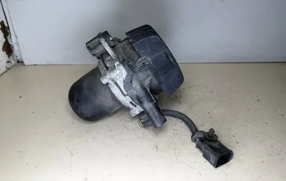 Porsche Cayenne (9PA) Secondary air pump 7L5959253A 10200099BAC