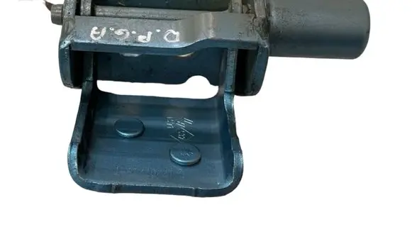 Renault Zoe Rear door lower hinge 864611