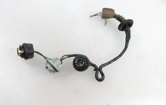 Nissan Pathfinder R50 Tail light bulb cover holder 