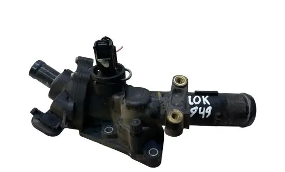 Thermostat/thermostat housing