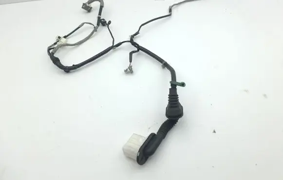 Honda Accord Front door wiring loom