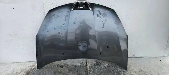 Peugeot 4007 Engine bonnet/hood 