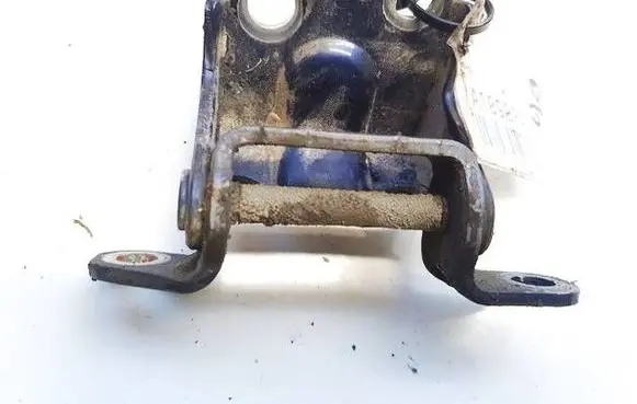 Rear door lower hinge