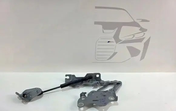 BMW X5 G05 Engine bonnet/hood hinges 