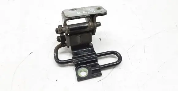 Porsche Cayenne (9PA) Rear door lower hinge 7L0833412