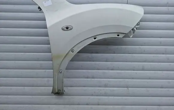 Nissan Juke I F15 Front mudguard 42423422342