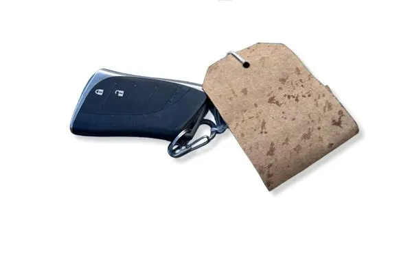 Lexus UX Ignition key/card 