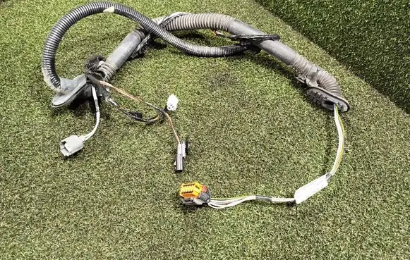 Rear door wiring loom