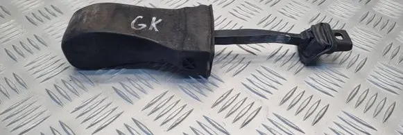 Volkswagen Golf VII Rear door check strap stopper 5G0839267