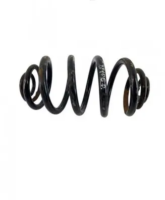 Rear coil spring