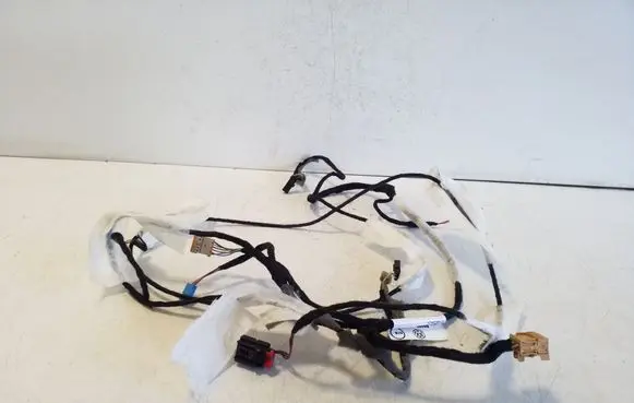 Other wiring loom