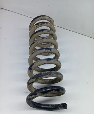 Rear coil spring