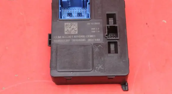 Engine control unit/module ECU