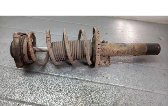Skoda Fabia Mk1 (6Y) Front shock absorber/damper