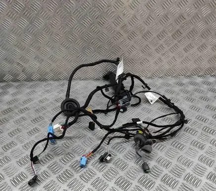 Front door wiring loom