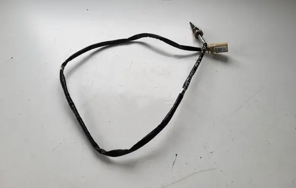 Audi A5 Exhaust gas temperature sensor