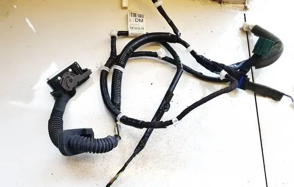 Other wiring loom