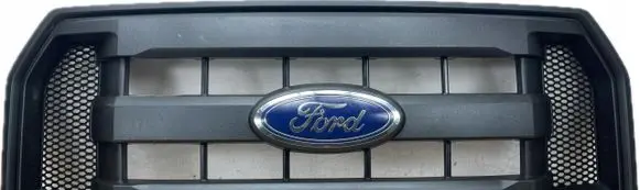 Ford F150 Front bumper upper radiator grill FL34-8200-AA