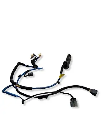 Hyundai Ioniq 5 Rear door wiring loom 91630 G1060AA