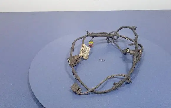 Other wiring loom