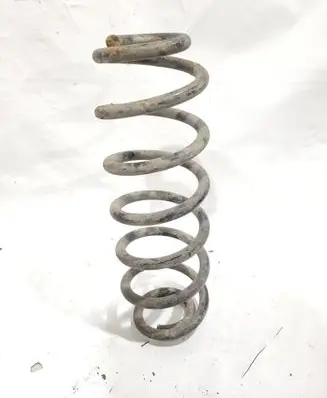 Rear coil spring