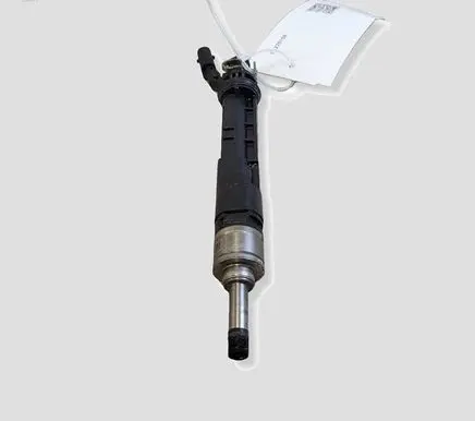 Nissan Qashqai Fuel injector 166001525R A2820701000