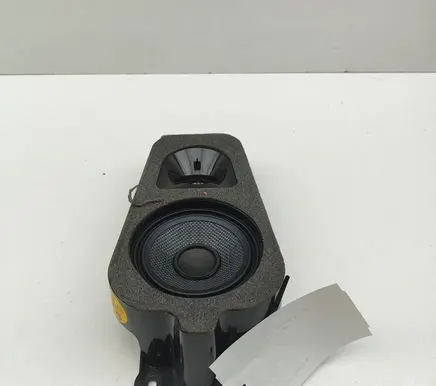 BMW X5 F15 Front door speaker 9294942