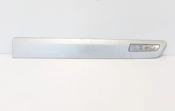 Renault Espace - Grand espace IV Front door trim (molding) 8200095949