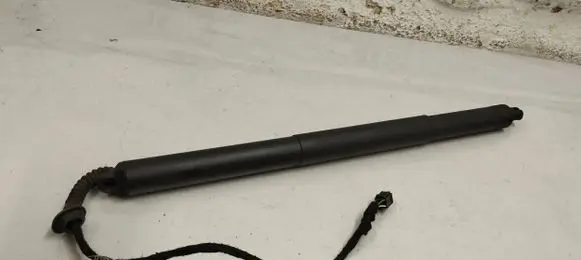 Tailgate/trunk strut/damper