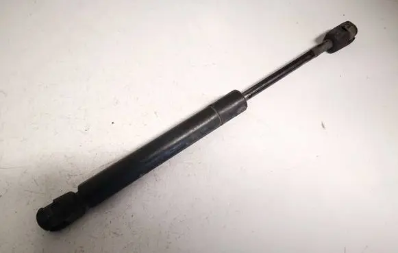 Tailgate/trunk strut/damper