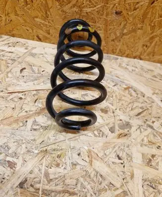 Rear coil spring