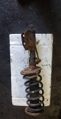 Opel Antara Front shock absorber with coil spring 96809738