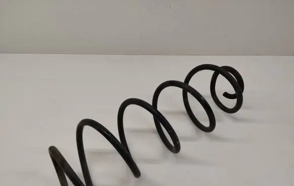 Rear coil spring