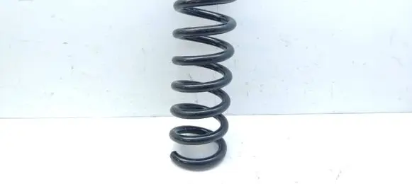 Mercedes-Benz CLS C219 Rear coil spring
