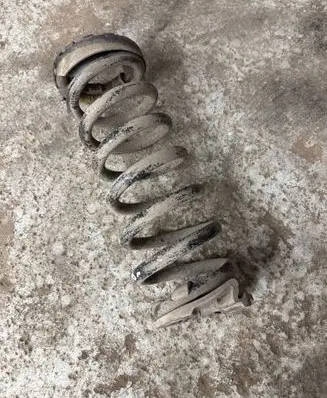 Rear coil spring