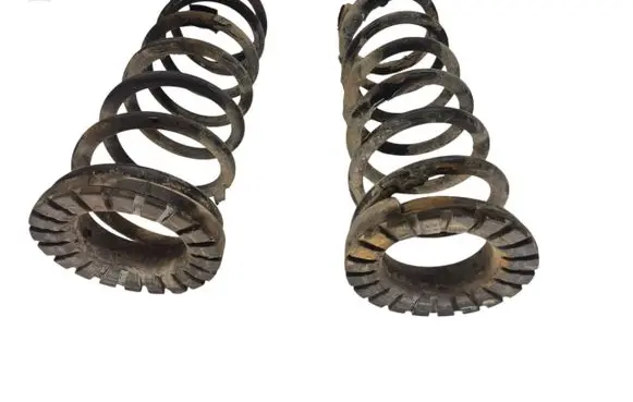 Rear coil spring