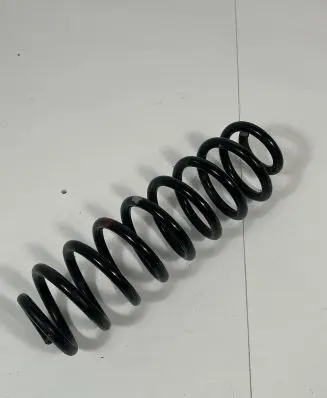 Toyota RAV 4 (XA50) Rear coil spring