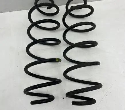 Rear coil spring