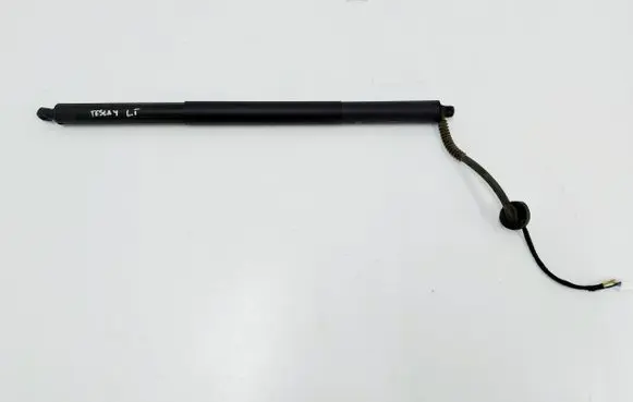 Tailgate strut