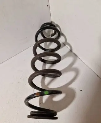 Rear coil spring