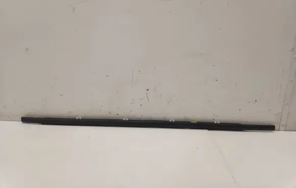 KIA Niro Rear door glass trim molding