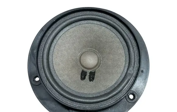 Mercedes-Benz B W245 Rear door speaker A1698202102
