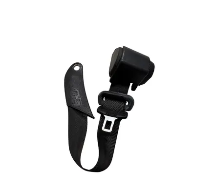 Rear seatbelt