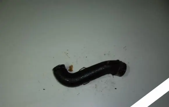 Volkswagen Golf IV Engine coolant pipe/hose