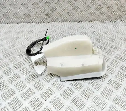 Tesla Model 3 Coupe door lock (next to the handle) 106896400L