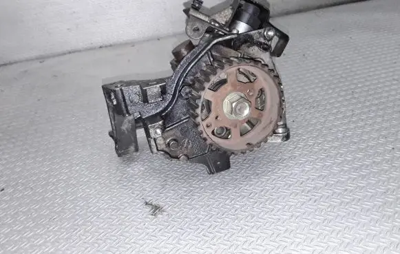Peugeot 206 Fuel injection high pressure pump 0445010102 9656300380