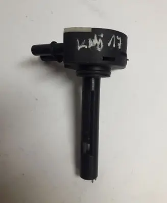 Renault Kadjar Fuel filter heater F30010000