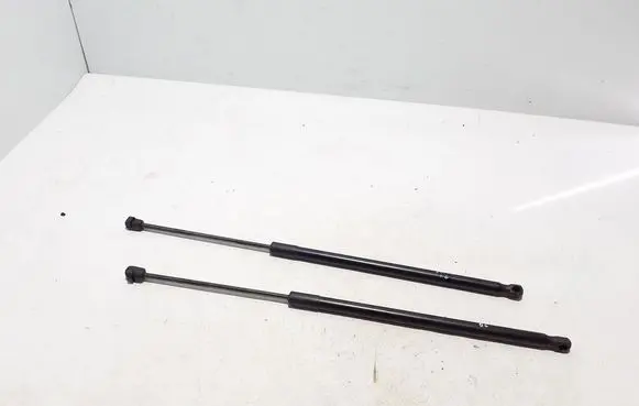 BMW 1 F40 Tailgate strut 7456042